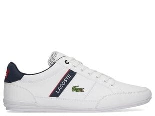 SPORTS LACOSTE CHAYMON 740CMA0067407 цена и информация | Кроссовки мужские | pigu.lt