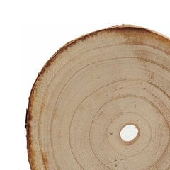 Dekoratyvinis rąstas, Paulovnijos mediena, 16 x 2 x 16 cm kaina ir informacija | Sodo dekoracijos | pigu.lt