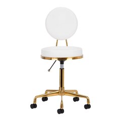 Профессиональное кресло мастера на колесиках H5, бело-золотое цена и информация | Мебель для салонов красоты | pigu.lt