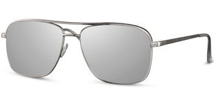 Солнцезащитные очки Label L2595 Silver/Revo цена и информация | Легкие и мощные прозрачные защитные очки для велосипедов | pigu.lt