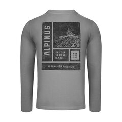 Marškinėliai vyrams T-shirt Alpinus Breheimen SI18006, pilki цена и информация | Мужские футболки | pigu.lt