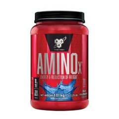 Аминокислоты BSN Amino X 1 кг, аромат арбуза цена и информация | Аминокислоты | pigu.lt