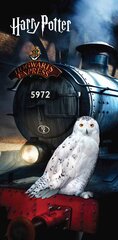 Пляжное полотенце Harry Potter Красный (70 x 140 см) цена и информация | Полотенца | pigu.lt