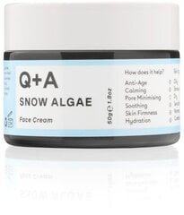 Intensyvus veido kremas Q+A Snow Algae, 50 g kaina ir informacija | Veido kremai | pigu.lt