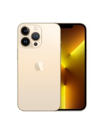 iPhone 13 Pro, 1TB, золотой (подержанный, состояние A) цена и информация | Мобильные телефоны | pigu.lt