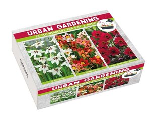 Kolekcija urban garden red kaina ir informacija | Gėlių svogūnėliai | pigu.lt