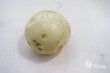 Sėklinės bulvės Vineta VFarm цена и информация | Daržovių, uogų sėklos | pigu.lt