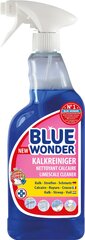 Сильнодействующее средство для чистки известняка Blue Wonder, 750 мл цена и информация | Очистители | pigu.lt