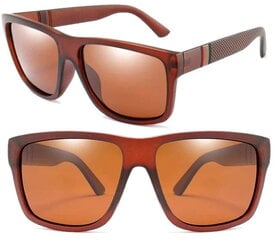 Мужские солнцезащитные очки V87BR цена и информация | Солнцезащитные очки для мужчин | pigu.lt