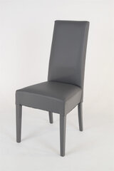 Kėdė Luisa, 2 vnt, pilkos kaina ir informacija | Virtuvės ir valgomojo kėdės | pigu.lt