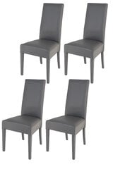 Kėdė Luisa, 4 vnt, pilkos kaina ir informacija | Virtuvės ir valgomojo kėdės | pigu.lt