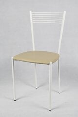 Набор из 4 стульев Elegance из стали окрашенной в цвет алюминия и сиденья из искусственной кожи цвета льна цена и информация | Стулья для кухни и столовой | pigu.lt