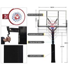 Стационарная баскетбольная стойка Bilaro Fremont 180x105cm цена и информация | Баскетбольные стойки | pigu.lt