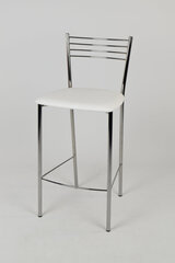 Kėdė Elena, 2 vnt, pilkos kaina ir informacija | Virtuvės ir valgomojo kėdės | pigu.lt