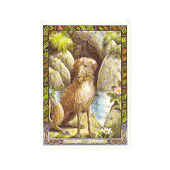 The Druid Animal Oracle Cards &amp; Book set цена и информация | Эзотерика | pigu.lt