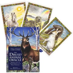 The Druid Animal Oracle Cards &amp; Book set цена и информация | Эзотерика | pigu.lt