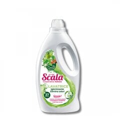 Nemalonius kvapus šalinantis koncentruotas audinių skalbiklis Bergemotė 1500ml (37 SKALBIMAI) SCALA kaina ir informacija | Skalbimo priemonės | pigu.lt