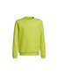 Vaikiškas džemperis Adidas Entrada 22 HC5043, citrinų spalvos kaina ir informacija | Megztiniai, bluzonai, švarkai berniukams | pigu.lt
