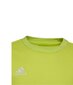 Vaikiškas džemperis Adidas Entrada 22 HC5043, citrinų spalvos цена и информация | Megztiniai, bluzonai, švarkai berniukams | pigu.lt