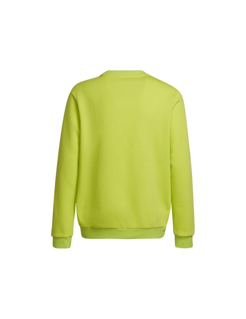 Vaikiškas džemperis Adidas Entrada 22 HC5043, citrinų spalvos цена и информация | Megztiniai, bluzonai, švarkai berniukams | pigu.lt