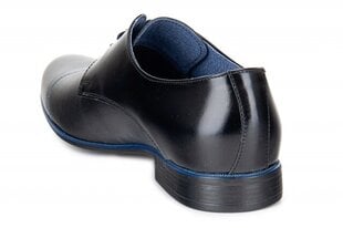 Мужские ботинки J & R 143110045751 цена и информация | Мужские ботинки | pigu.lt
