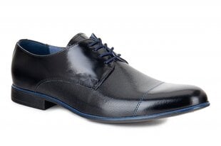 Мужские ботинки J & R 143110045751 цена и информация | Мужские кроссовки | pigu.lt
