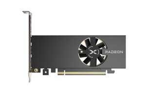 XFX Gaming Graphics Card RX-64XL4SFG2 AMD kaina ir informacija | Vaizdo plokštės (GPU) | pigu.lt