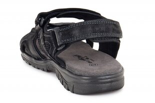 Мужские сандали Bio Comfort 167405046751 цена и информация | Мужские шлепанцы, босоножки | pigu.lt