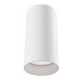Lubinis šviestuvas Maytoni Ceiling, balta spalva C010CL-01W
