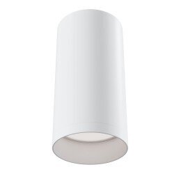 Lubinis šviestuvas Maytoni Ceiling, balta spalva C010CL-01W kaina ir informacija | Lubiniai šviestuvai | pigu.lt