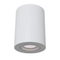Lubinis šviestuvas Maytoni Ceiling, baltos spalvos apvalios formos C016CL-01W kaina ir informacija | Lubiniai šviestuvai | pigu.lt