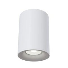 Lubinis šviestuvas Maytoni Lubos, baltos spalvos, apvalios formos C012CL-01W kaina ir informacija | Lubiniai šviestuvai | pigu.lt