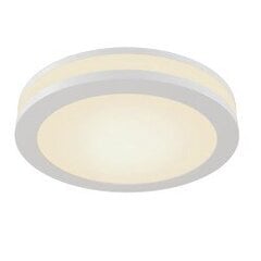 Taškinis šviestuvas Maytoni Downlight, balta spalva su šviesos diodais DL2001-L12W kaina ir informacija | Lubiniai šviestuvai | pigu.lt