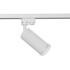 Maytoni Technical Track Lighting Focus TR004-1-GU10-W цена и информация | Монтируемые светильники, светодиодные панели | pigu.lt