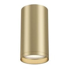 Lubinė lempa Maytoni Ceiling aukso spalvos C052CL-01MG kaina ir informacija | Lubiniai šviestuvai | pigu.lt