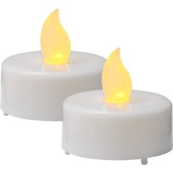LED arbatos žvakės baltos, 2 vnt. 0,06W 4x4cm Paulo 066-06 kaina ir informacija | Žvakės, Žvakidės | pigu.lt