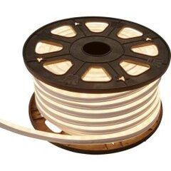 Уличный светильник Rope Light Neoled Reel 563-10 цена и информация | Уличные светильники | pigu.lt