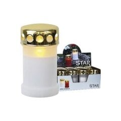 LED kapo žvakės baltos 12 vnt. C 0,06 W 29,5 x 32 cm Serene 067-99-57 kaina ir informacija | Žvakės, Žvakidės | pigu.lt