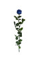 Stabilizuota rožė Amorosa, mėlyna kaina ir informacija | Miegančios rožės, stabilizuoti augalai | pigu.lt