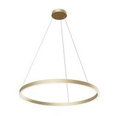 Pendant Lamp Rim цена и информация | Потолочные светильники | pigu.lt