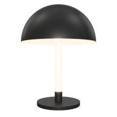 Table Lamp цена и информация | Настольные светильники | pigu.lt