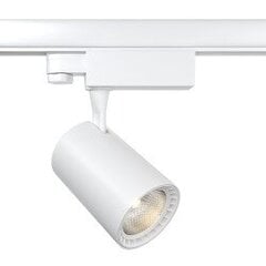 Track Lighting Vuoro цена и информация | Трековые светильники и шинопроводы | pigu.lt