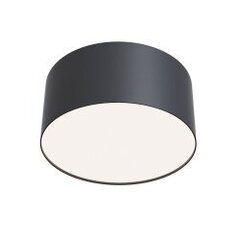 Ceiling Lamp Zon цена и информация | Потолочные светильники | pigu.lt
