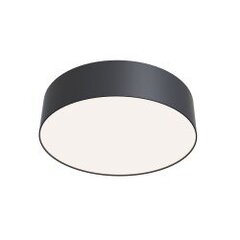 Ceiling Lamp Zon цена и информация | Потолочные светильники | pigu.lt