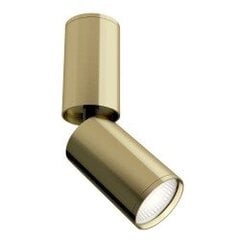 Lubinė lempa Maytoni Celling kolekcija aukso spalvos GU10 18.2cm C051CL-01BS kaina ir informacija | Lubiniai šviestuvai | pigu.lt