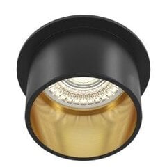 Downlight Reif цена и информация | Потолочные светильники | pigu.lt