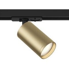 Track Lighting TR031-1-GU10-BMG цена и информация | Трековые светильники и шинопроводы | pigu.lt