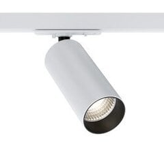 Track Lighting TR021-1-12W4K цена и информация | Трековые светильники и шинопроводы | pigu.lt