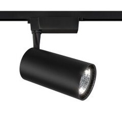 Track Lighting TR003-1-40W4K-B цена и информация | Трековые светильники и шинопроводы | pigu.lt