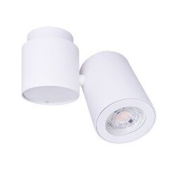 MAXLIGHT C0036 LAMPA SUFITOWA BARRO I BIAŁA цена и информация | Потолочные светильники | pigu.lt